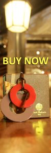 sarah beekmans horn pendant