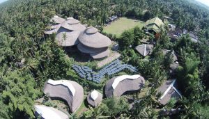 green school