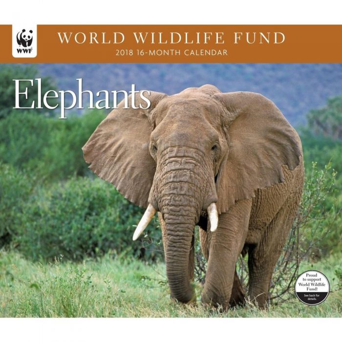 World Wide Fund for Nature