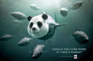 World Wide Fund for Nature