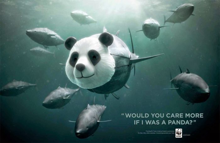 World Wide Fund for Nature