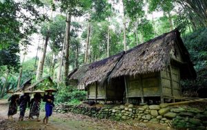 Baduy Tribe