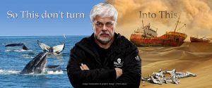 paul watson
