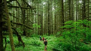ecotourism
