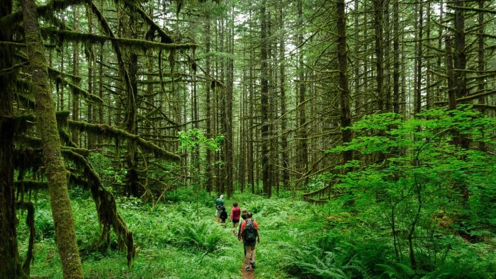 ecotourism