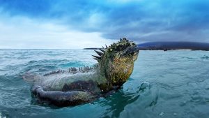 kepulauan galapagos