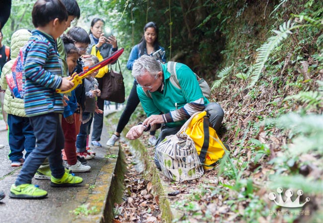hong kong forest kindergarten