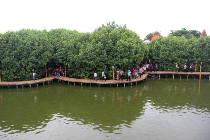 Wisata Mangrove di Indonesia