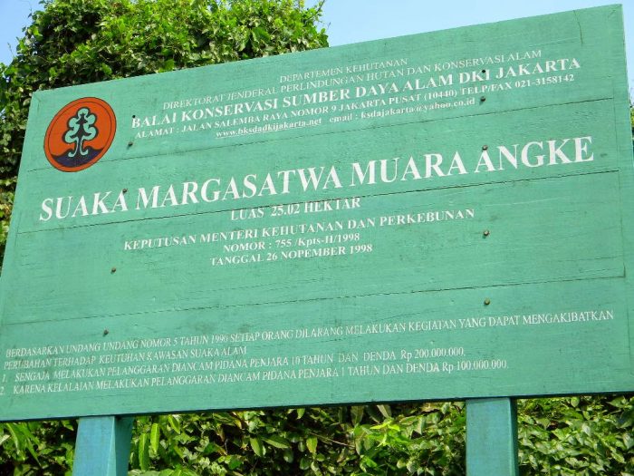 Wisata Mangrove di Indonesia