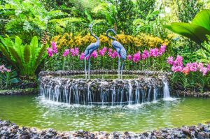 phuket botanic garden