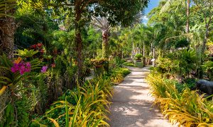 phuket botanic garden