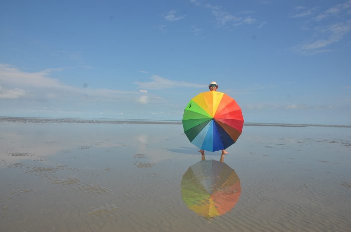 Sky Mirror di Selangor