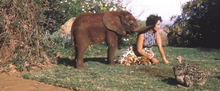 daphne sheldrick