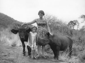 daphne sheldrick