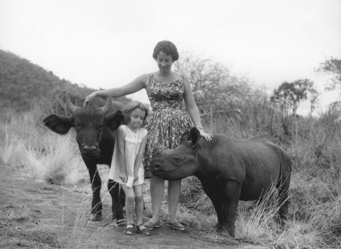 daphne sheldrick