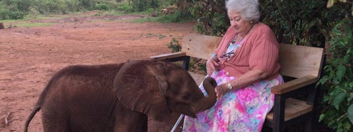 daphne sheldrick