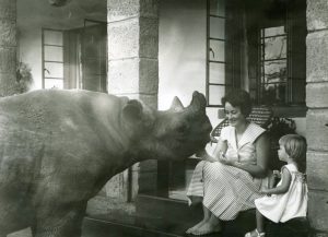 daphne sheldrick
