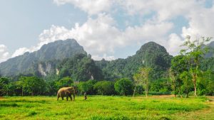 khao sok national park