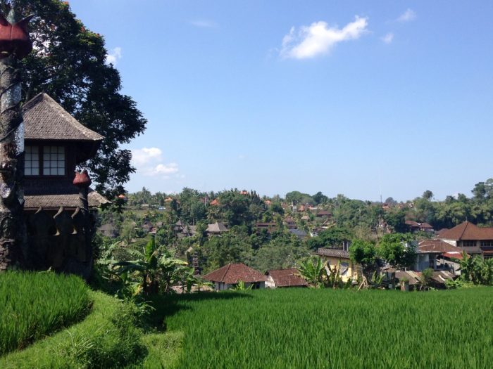Desa Les di Bali