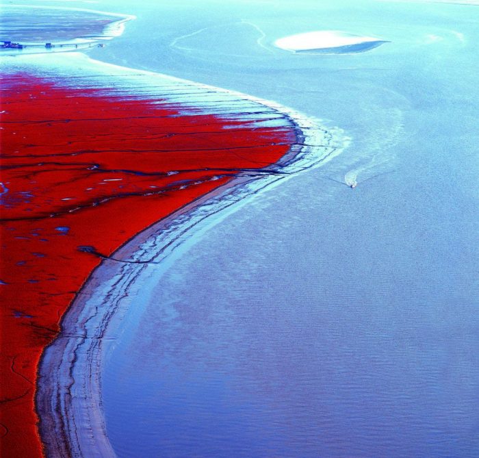red beach panjin china