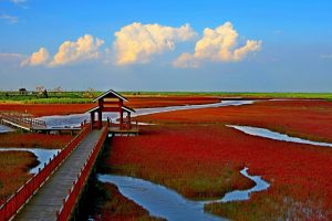 red beach panjin china