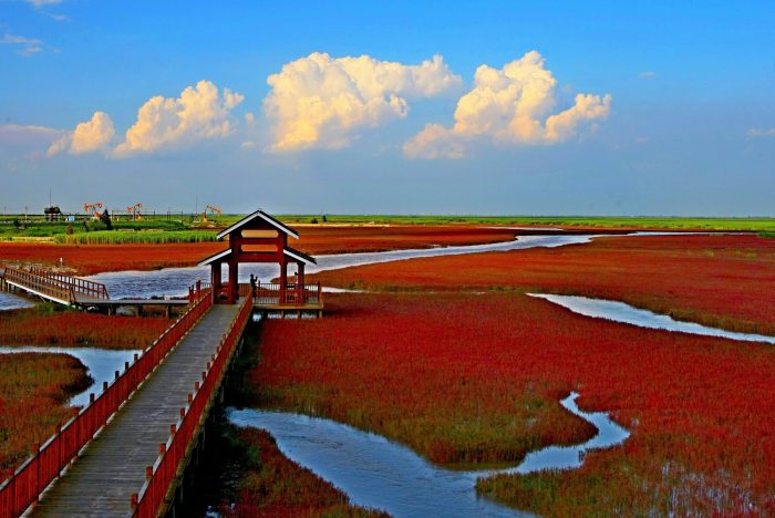 red beach panjin china