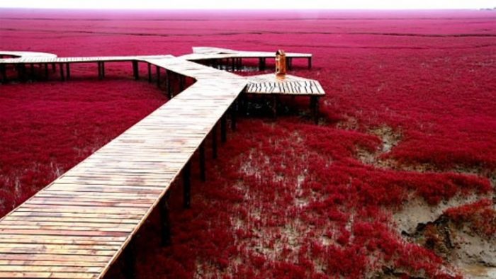 red beach panjin china