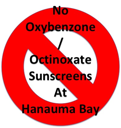 Larangan Tabir Surya di Hawaii