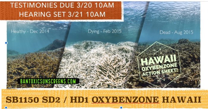 Larangan Tabir Surya di Hawaii