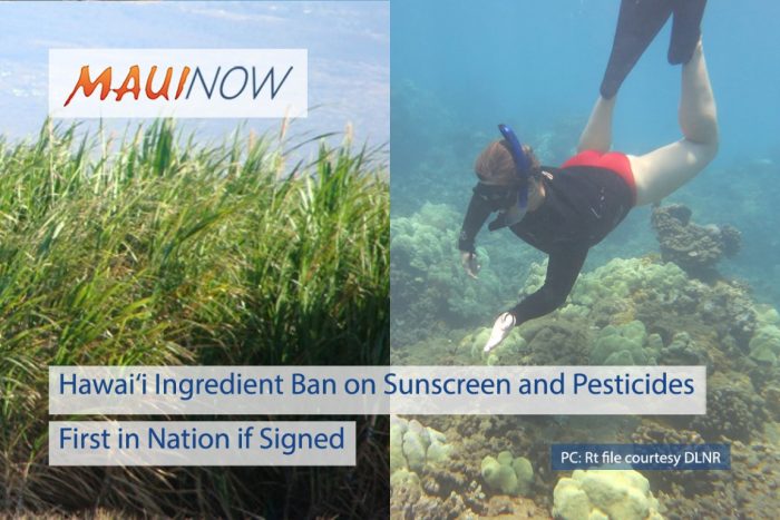 Larangan Tabir Surya di Hawaii