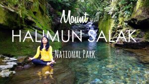 Taman Nasional Gunung Halimun Salak