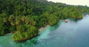 cagar alam pulau waigeo barat