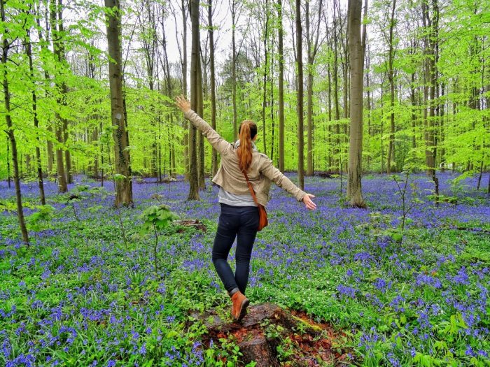 hallerbos