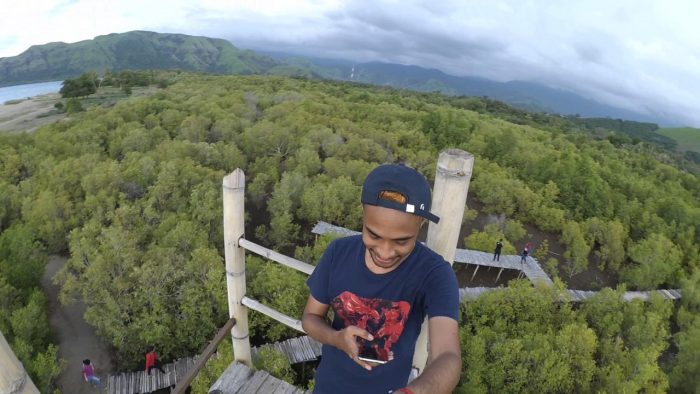 hutan mangrove magepanda