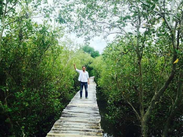hutan mangrove magepanda