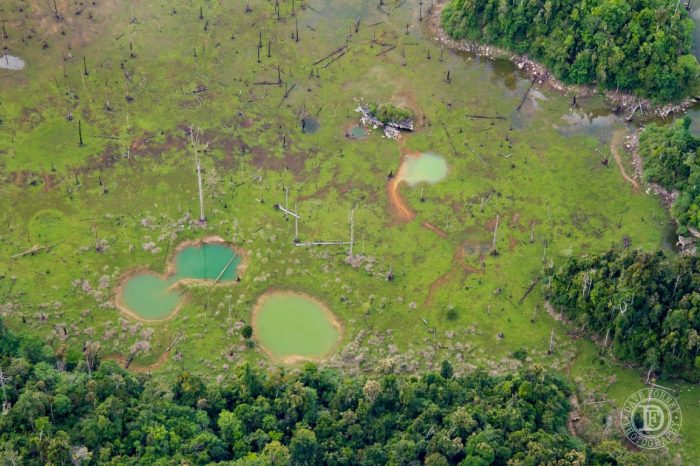 taman nasional kayan mentarang