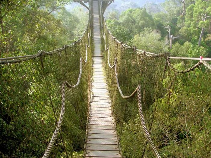 taman nasional kayan mentarang