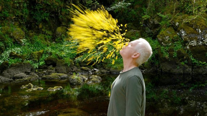 andy goldsworthy
