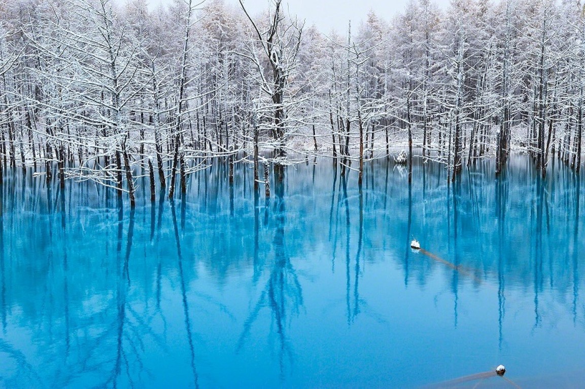 blue pond hokkaido