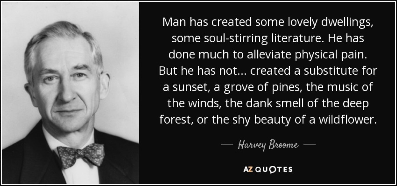 harvey broome