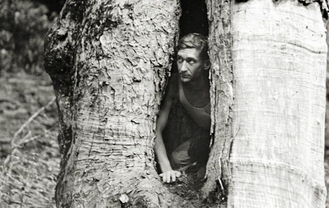 harvey broome