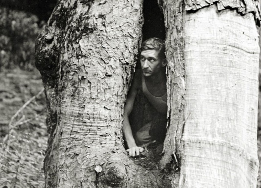 harvey broome