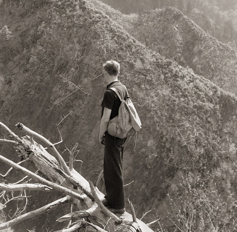 harvey broome
