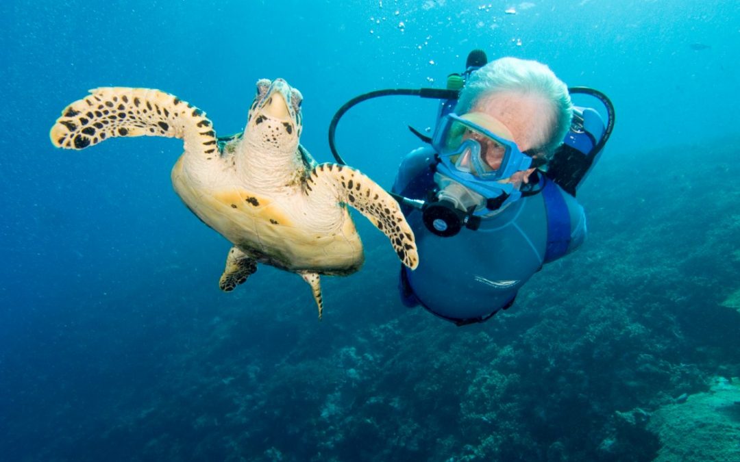 jean michel cousteau