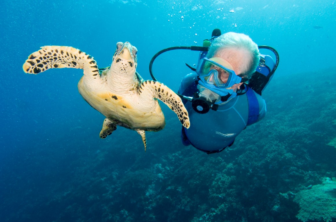 jean michel cousteau
