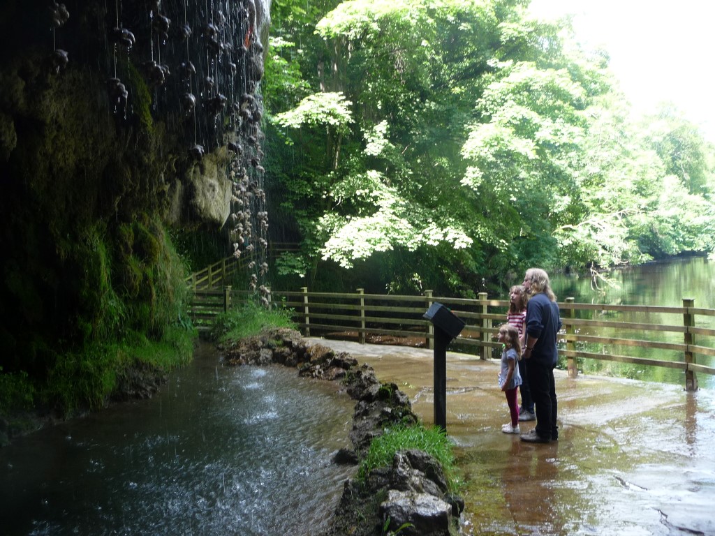 petrifying well