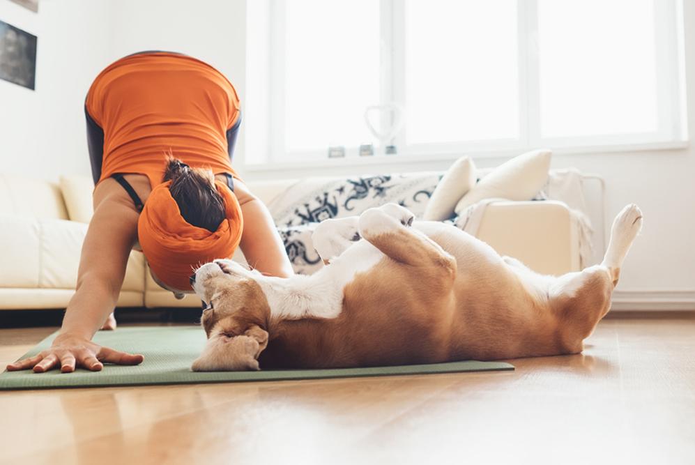 doga