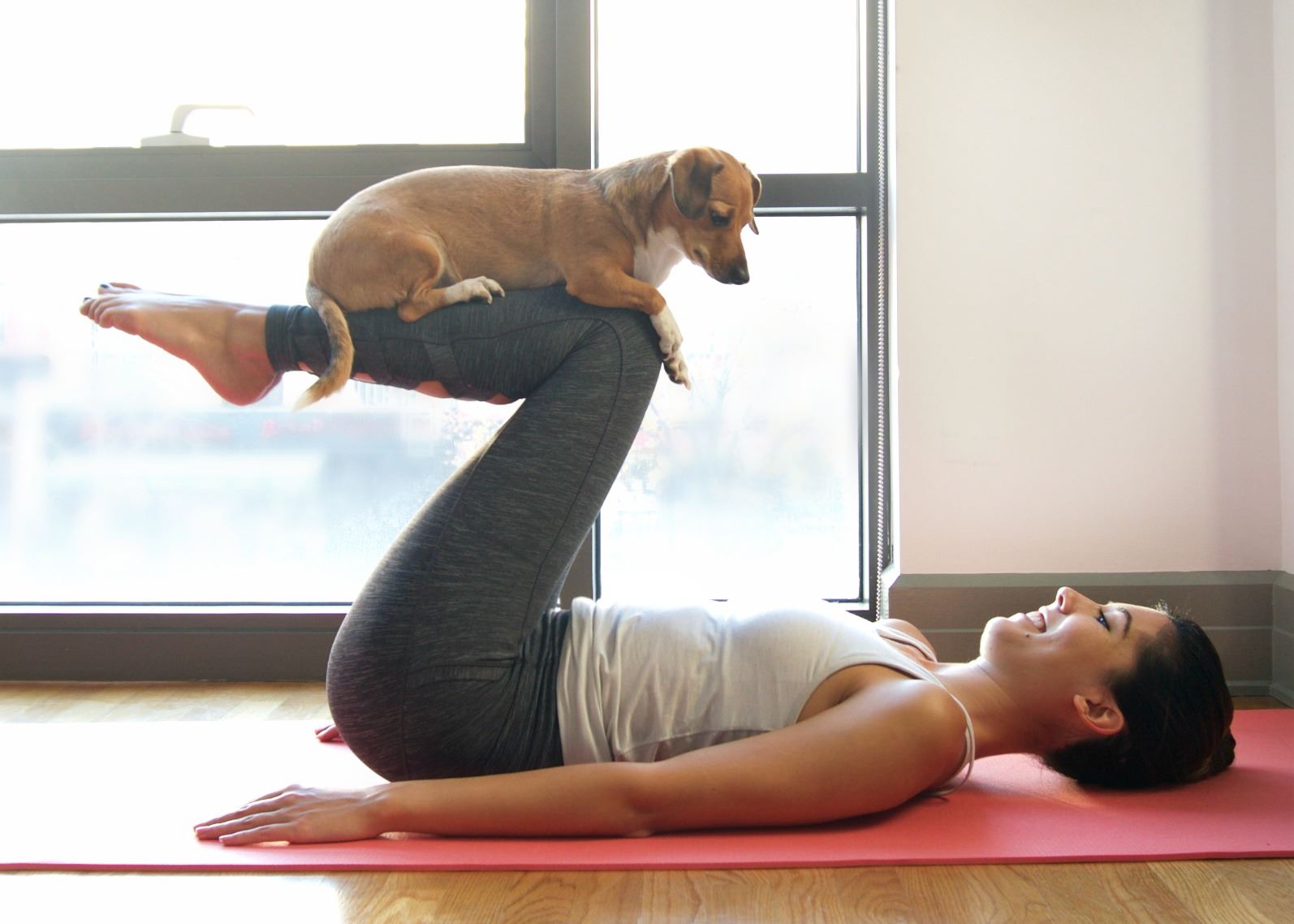 doga