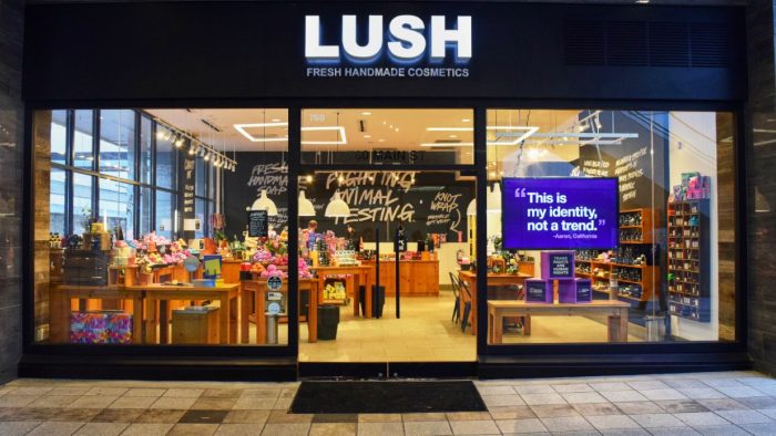 lush egg foundation