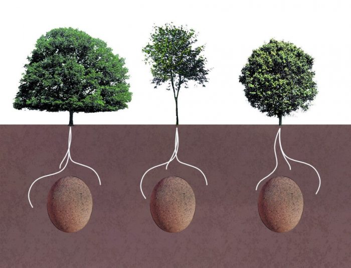 natural burial pemakaman organik
